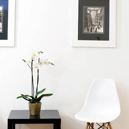 Riviera Luxury Bed & Breakfast